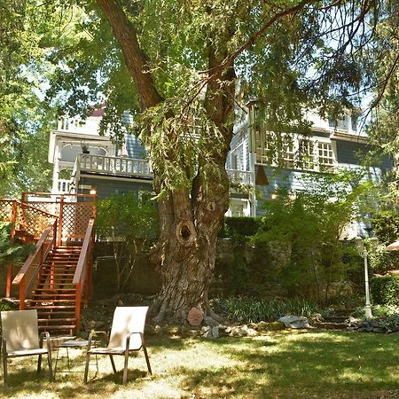 Deer Creek Inn Nevada City Extérieur photo