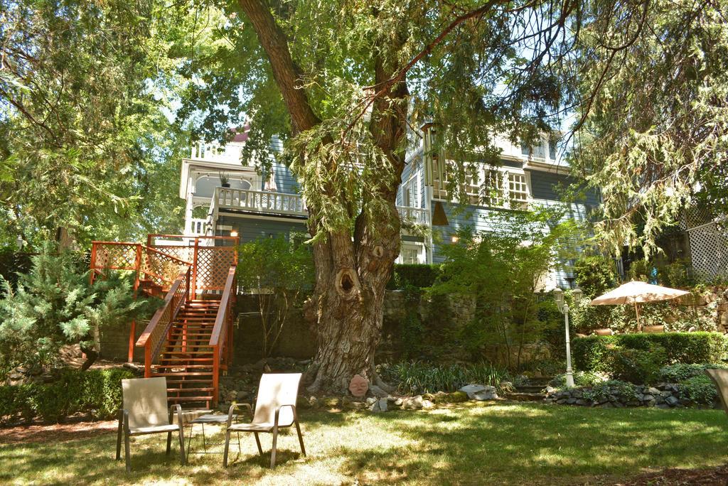 Deer Creek Inn Nevada City Extérieur photo